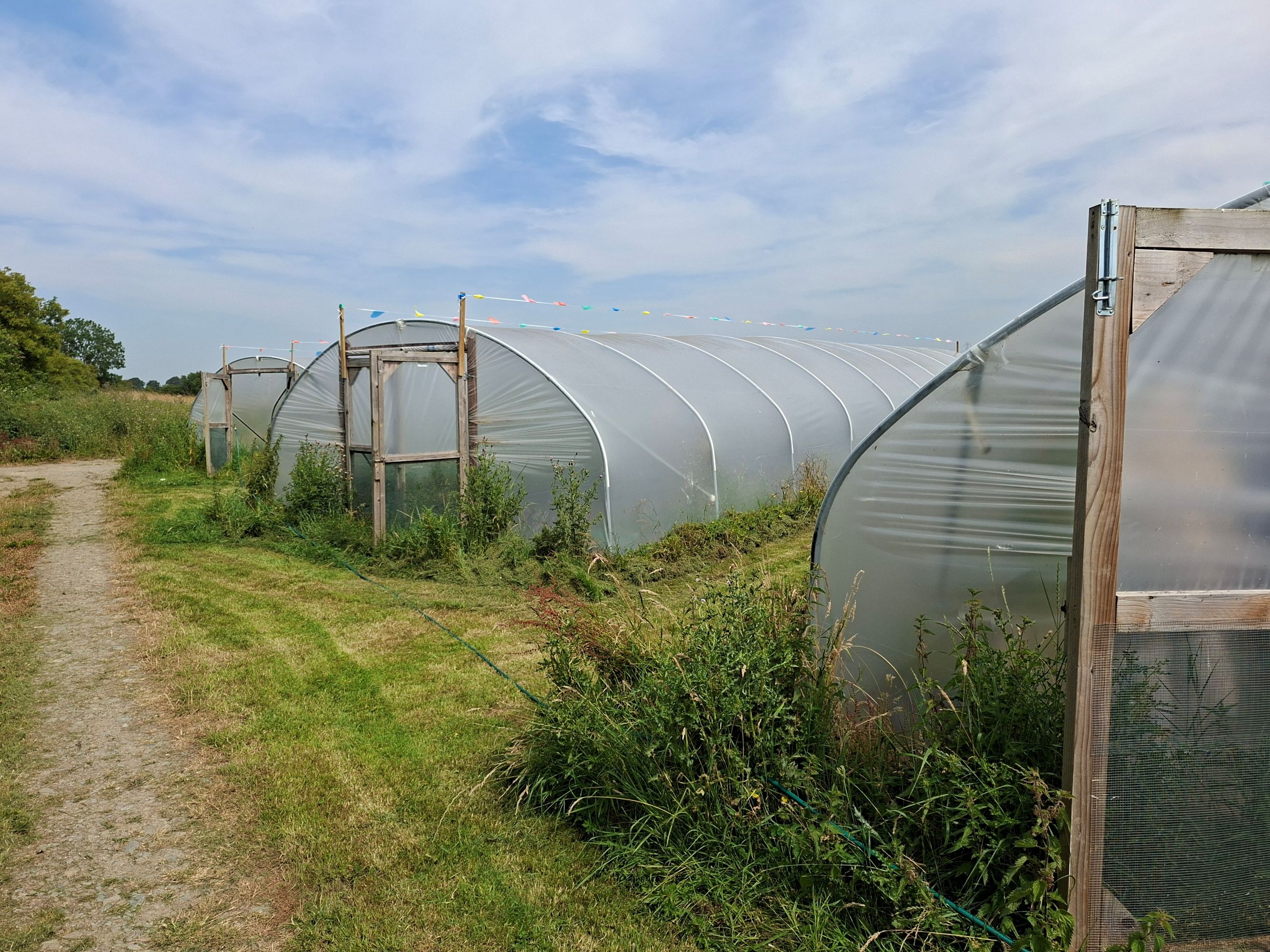 Kyrie Farm polytunnels.jpg